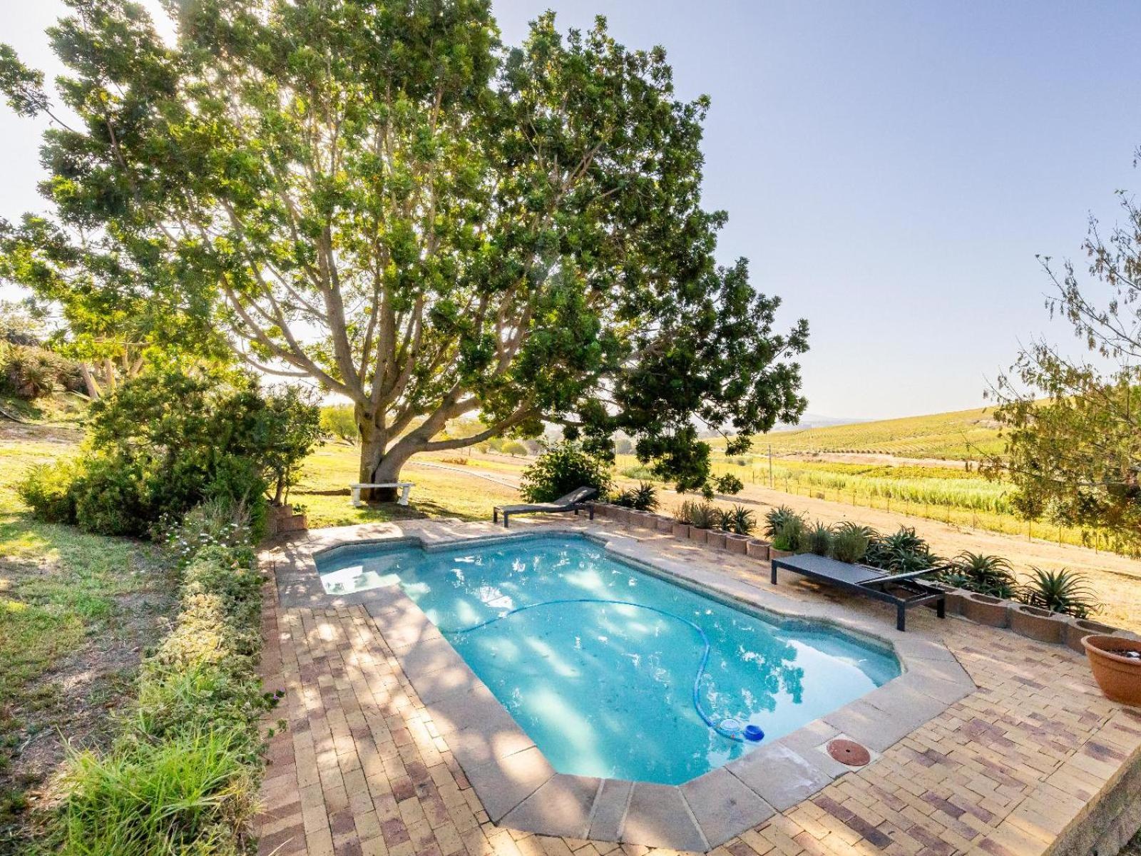 Belcharto Accommodation Stellenbosch Eksteriør bilde